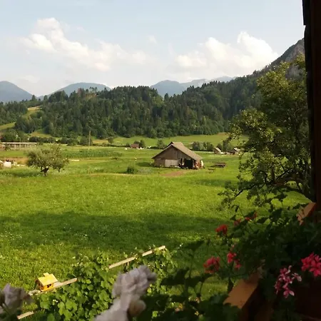 Apartmaji Bremec Bohinj Exterior photo