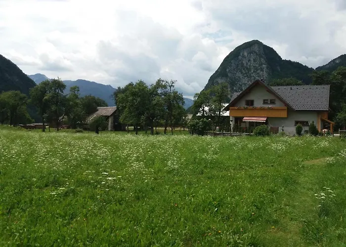 Apartmaji Bremec