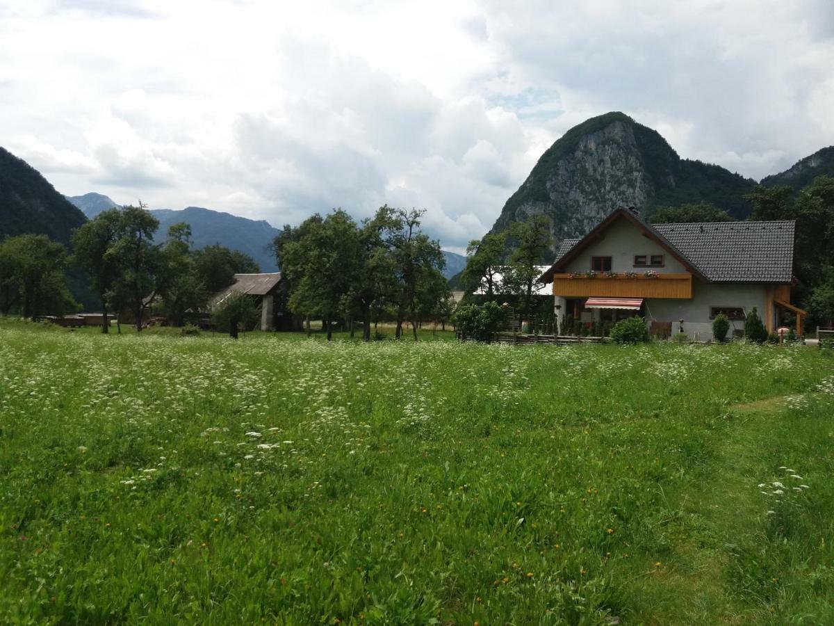 Apartma Apartmaji Bremec *